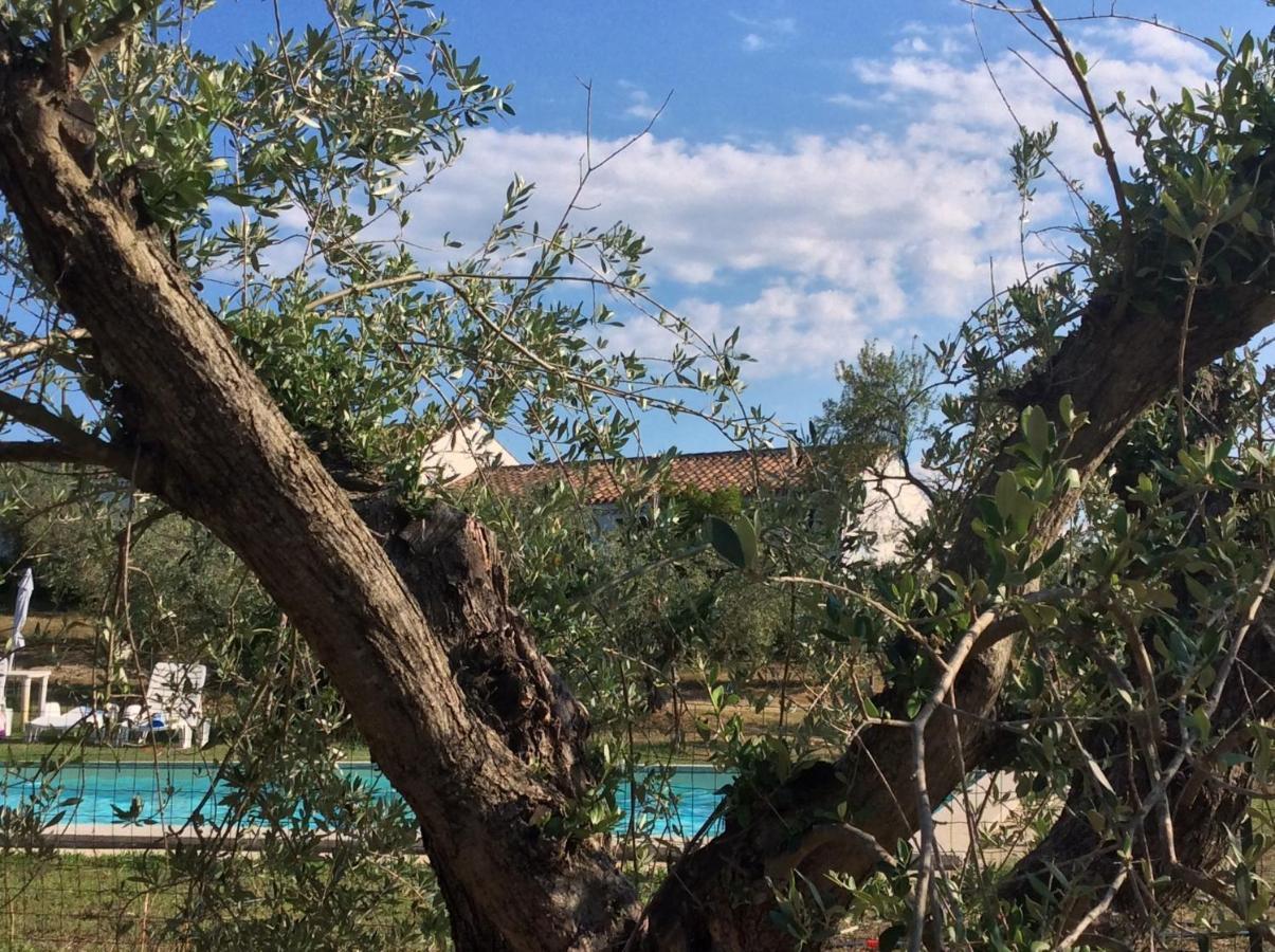 Tenuta Don Ballore Farm stay Galtelli