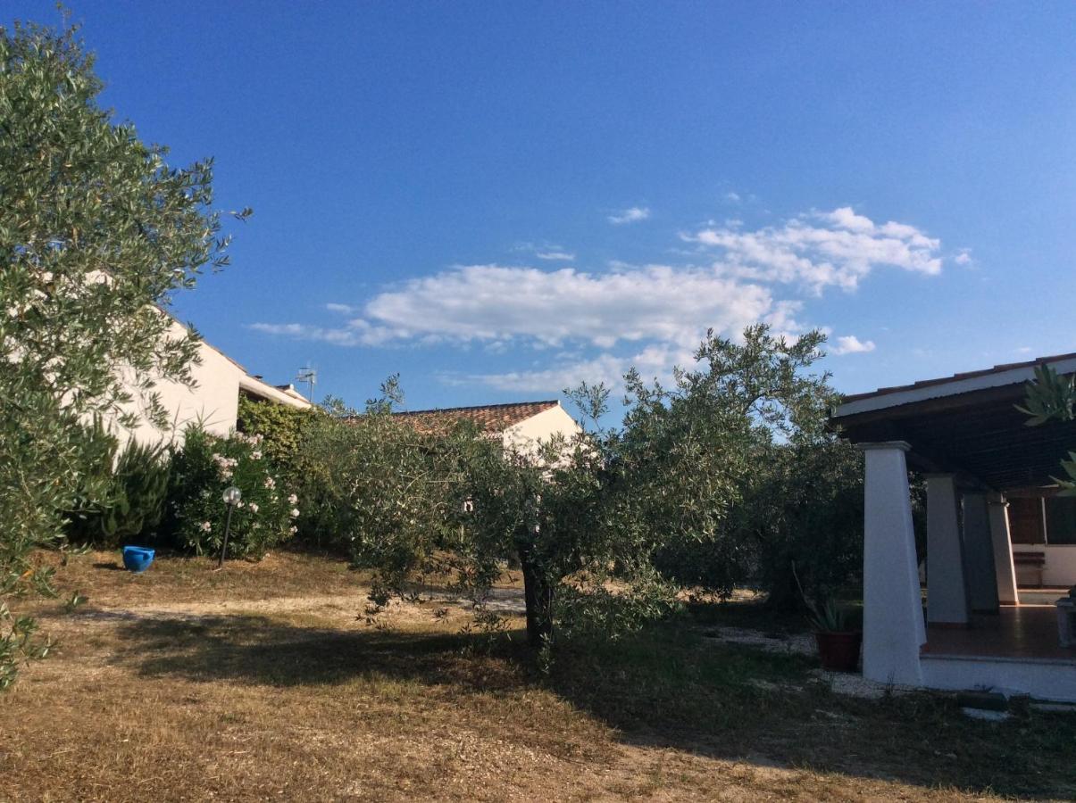 Tenuta Don Ballore *