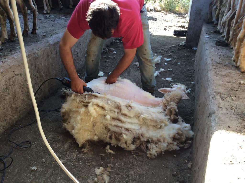 Tenuta Don Ballore Séjour à la ferme *