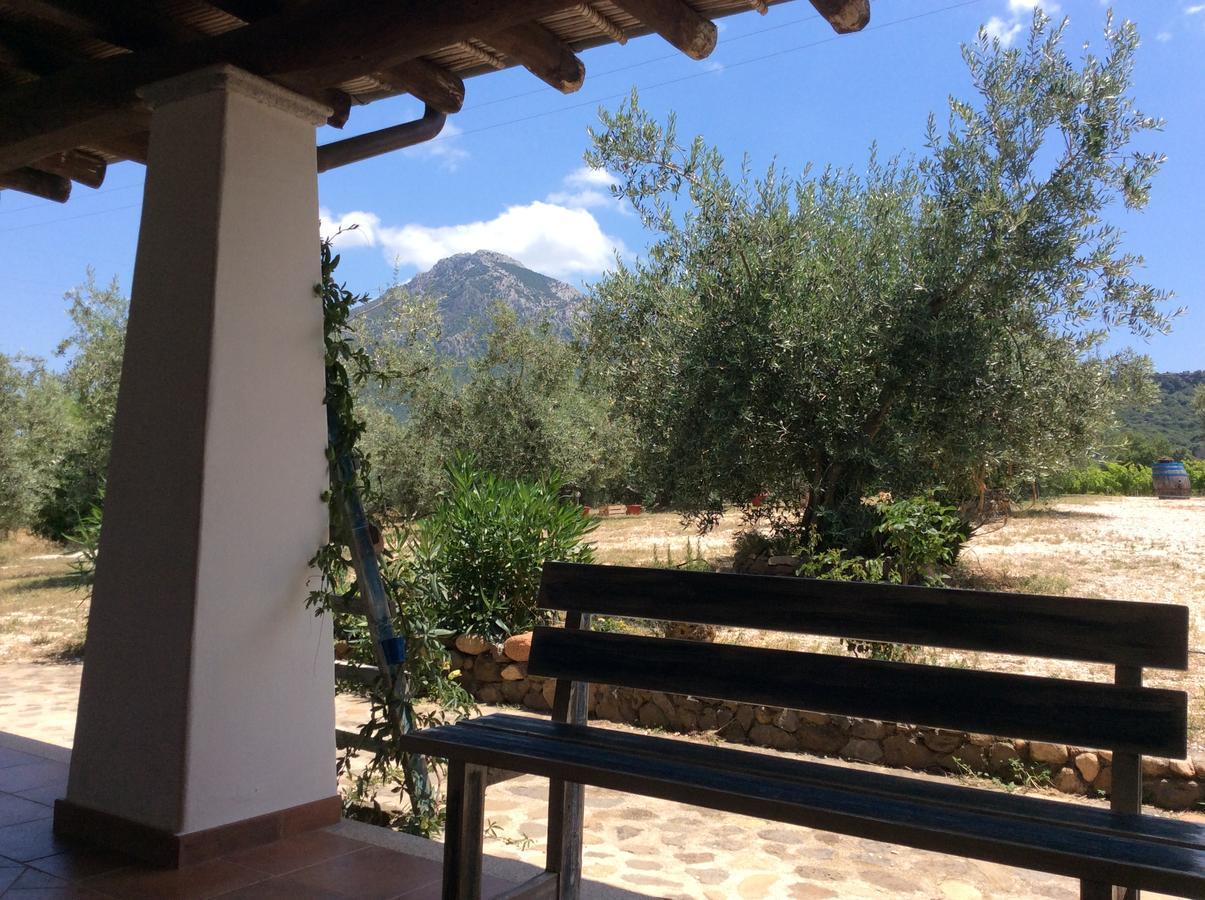 Tenuta Don Ballore Farm stay Galtelli
